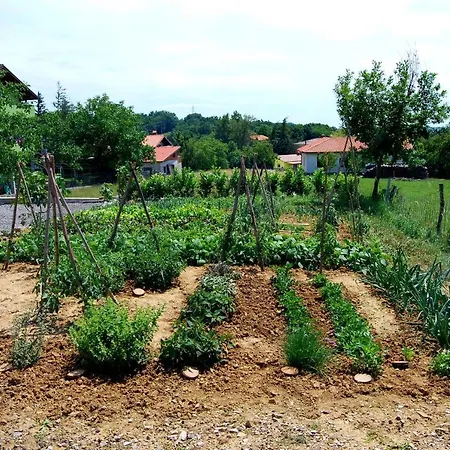 Ociski Raj Auberge de jeunesse Kozina