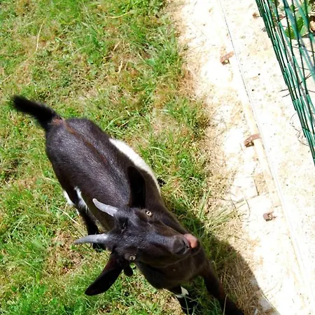 Ociski Raj Auberge de jeunesse *