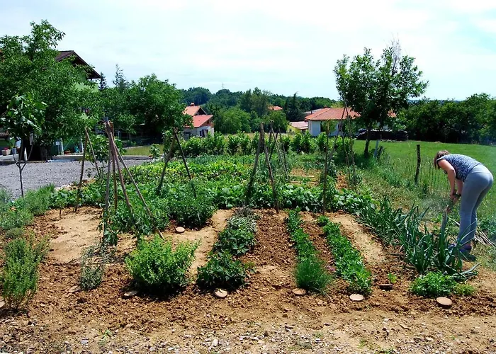 Ociski Raj 호스텔 코지나