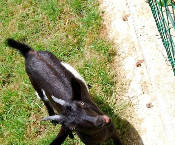 Ociski Raj ホステル *